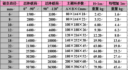 双腿洪山链条吊具